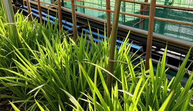 成果转化中的安装调试:关键环节与实践分析